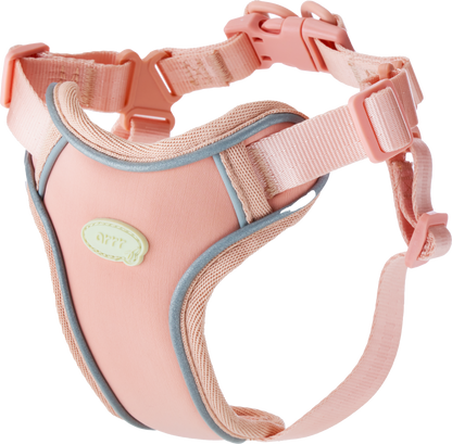 Harness
