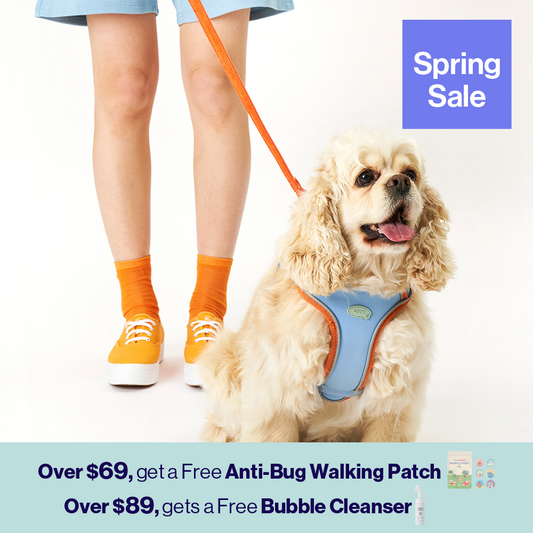 myfit Safety Harness