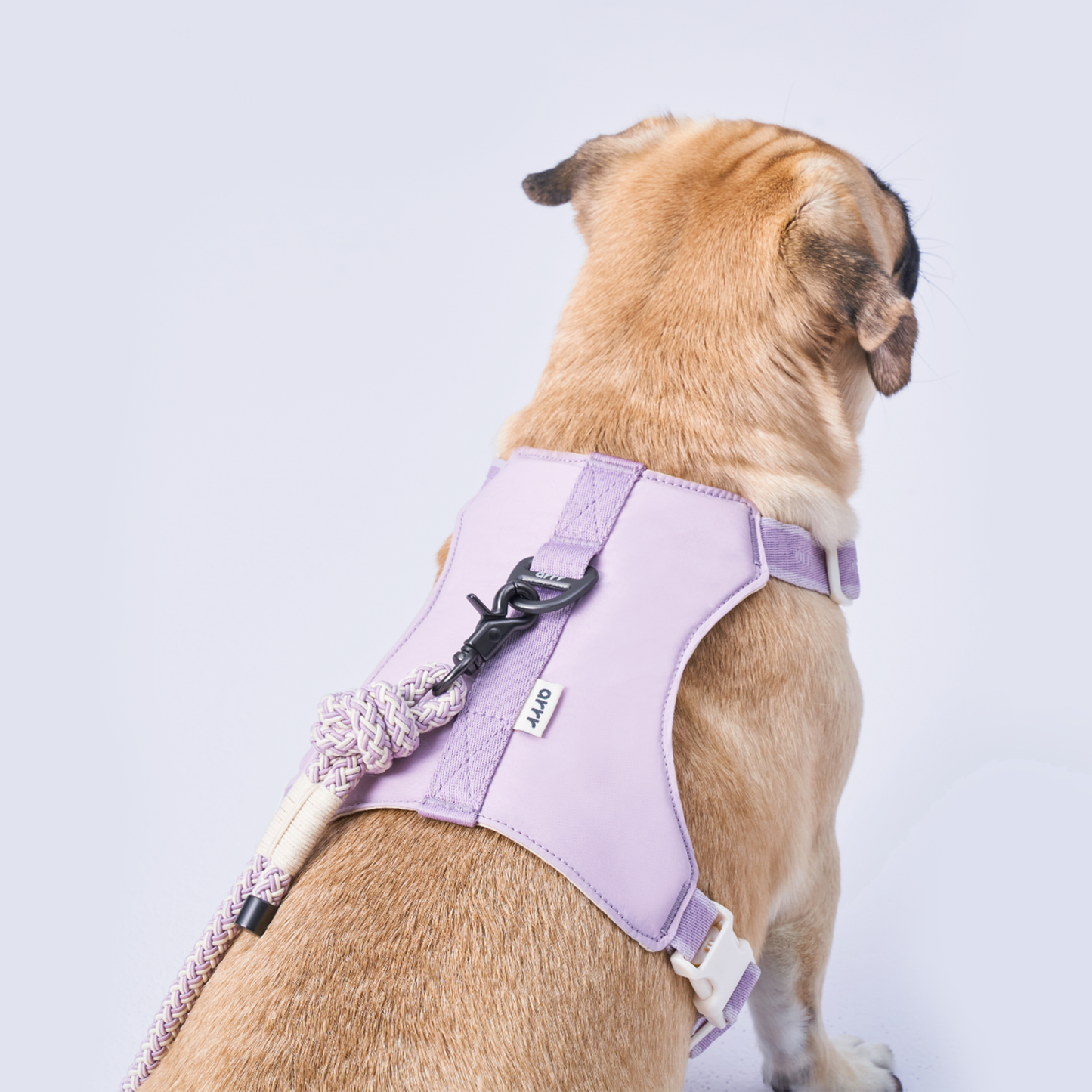 arrr Adjustable dog chest harness in lavender colour. Featuring an elastic strap and leash clip. Made of EVA material, which is super light, soft, and shock-absorbing!