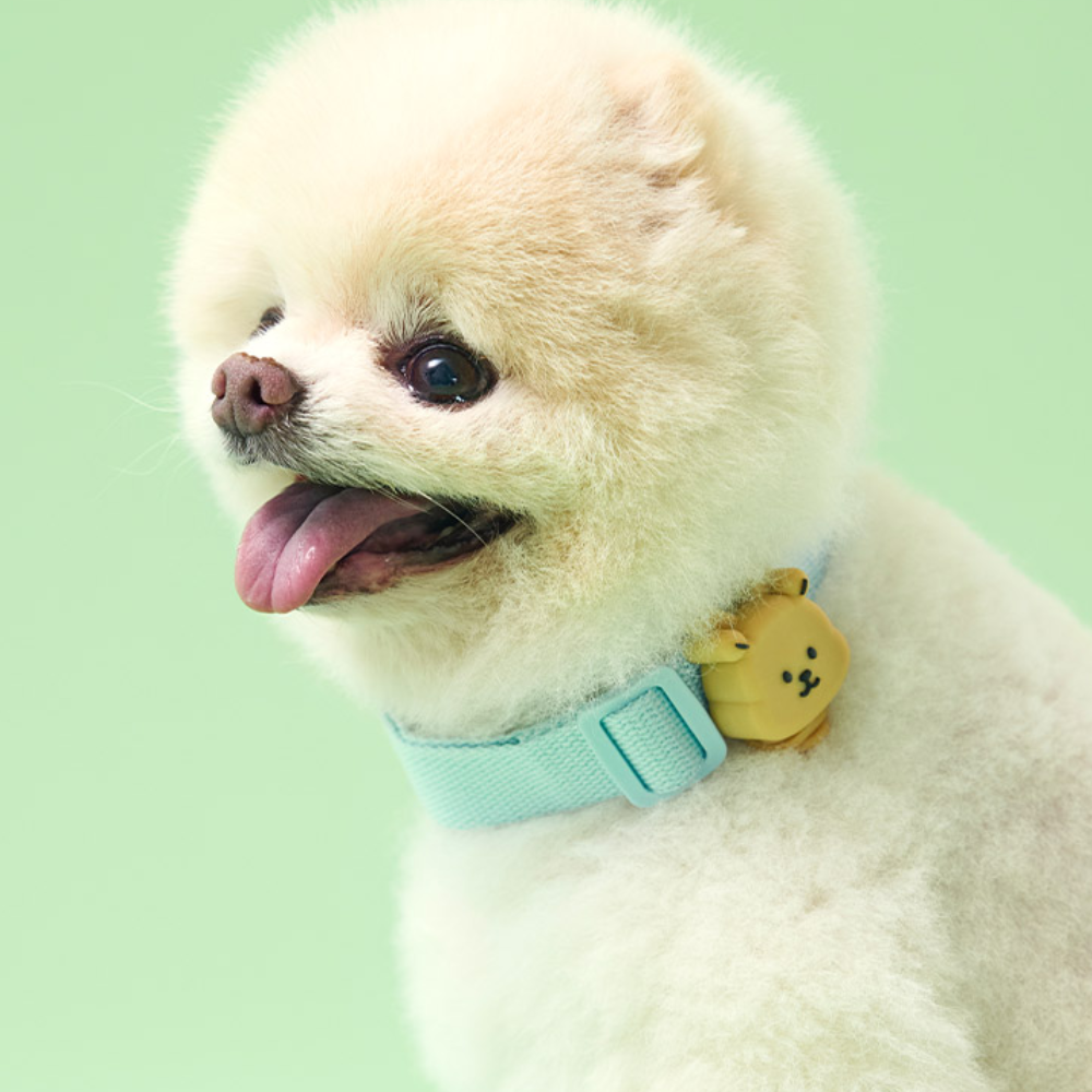 Light Up Buzz-free Clip | Clip Refill • For dog only (NEW!)