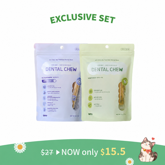 Dental Chew | 2-Pack Set