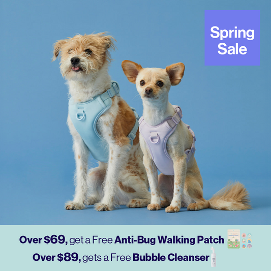 Macaron Harness Ver.2 | Minimize Trachea Pressure