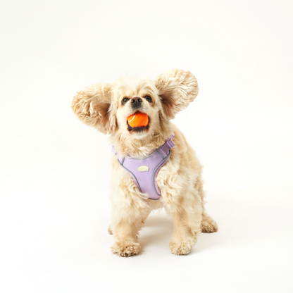 myfit Safety Harness