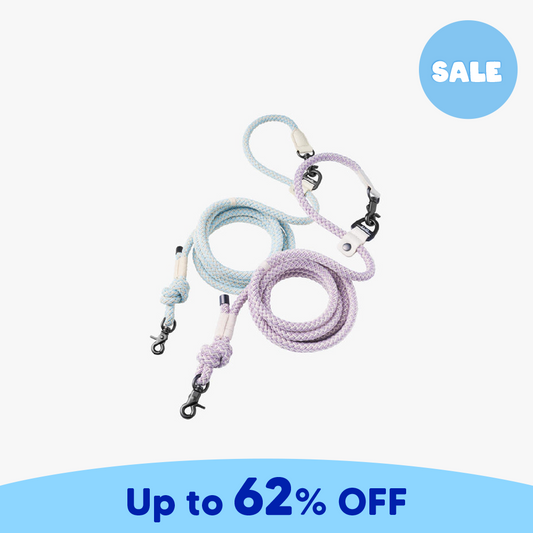 Bouncing Leash