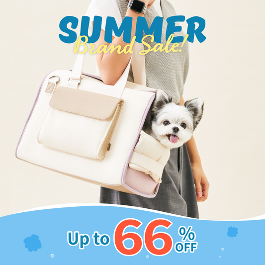 Sunday Pet Bag | Multi-functionality carrier
