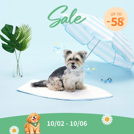 Coolsum Surfing Mat | Limited stock