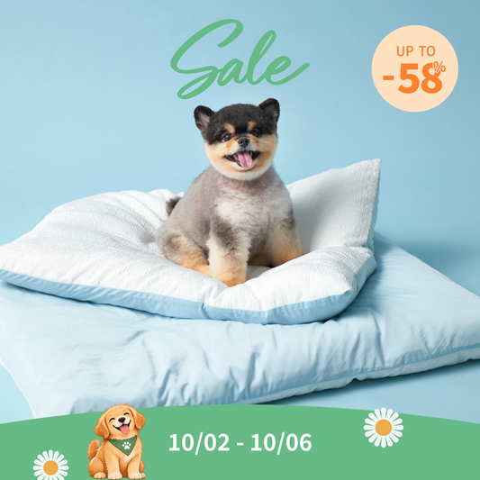 Cooling Blanket | Blanket Cover