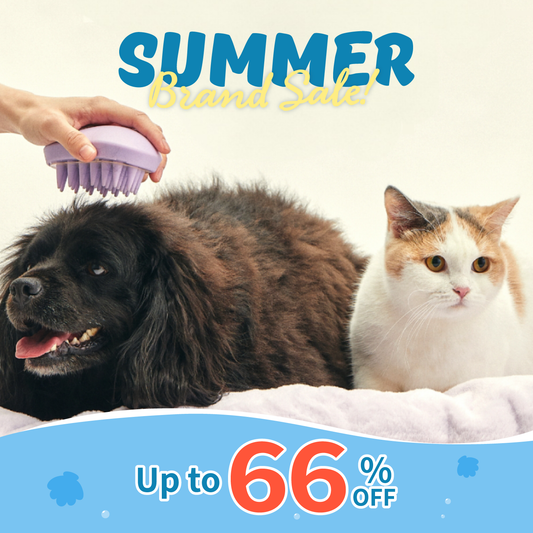Grooming Brush