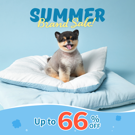 Cooling Blanket | Blanket Cover