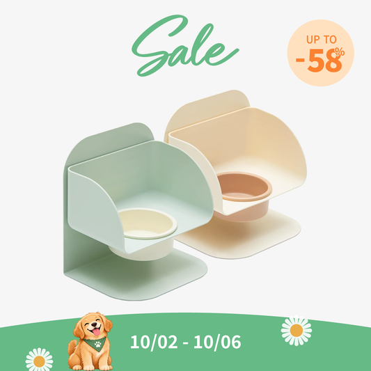 Yummy pet bowl