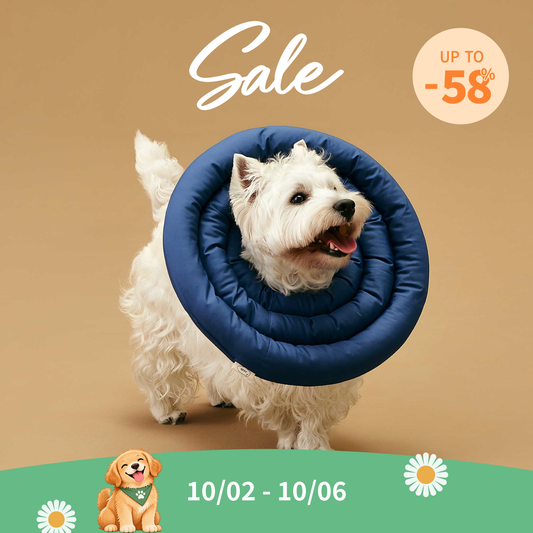 UFO Neck Collar