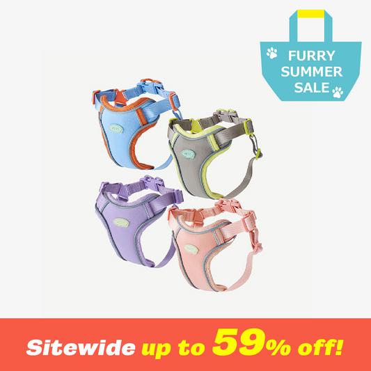 myfit Safety Harness