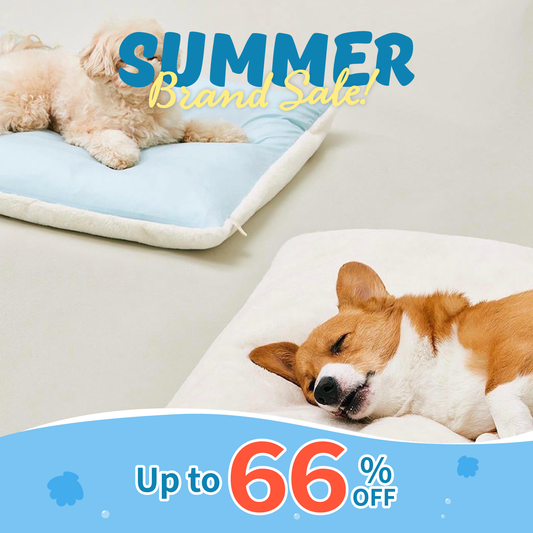 Sleeping Blanket | Blanket Cover