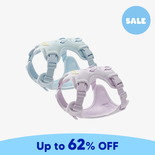Macaron Harness Ver.2 | Minimize Trachea Pressure