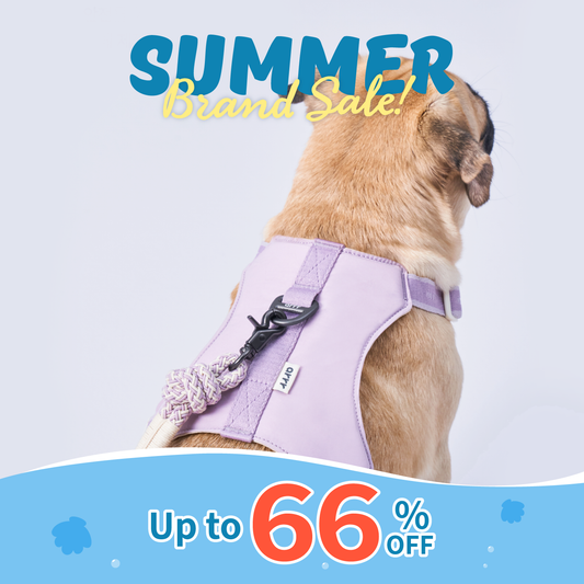 Bouncing Harness | Last stock