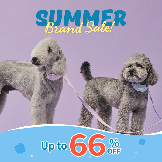 myfit Cushion Buffer Collar