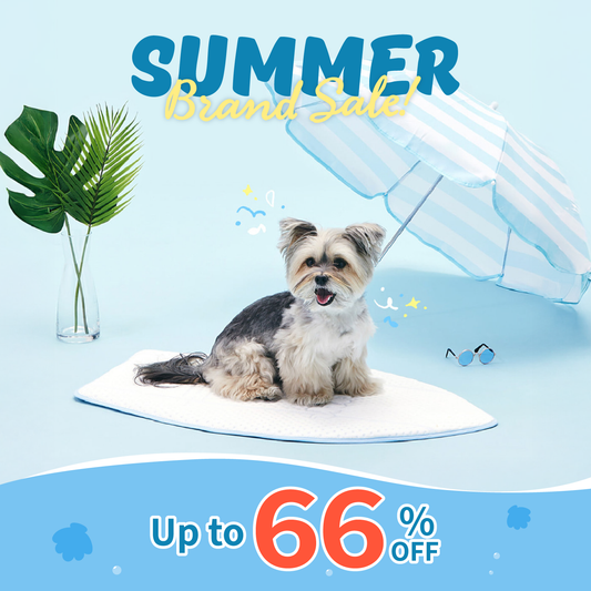 Coolsum Surfing Mat | Limited stock