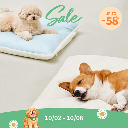 Sleeping Blanket | Blanket Cover