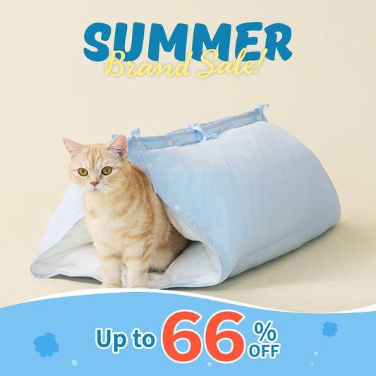 Kimbap Tunnel Bed | Limited stock