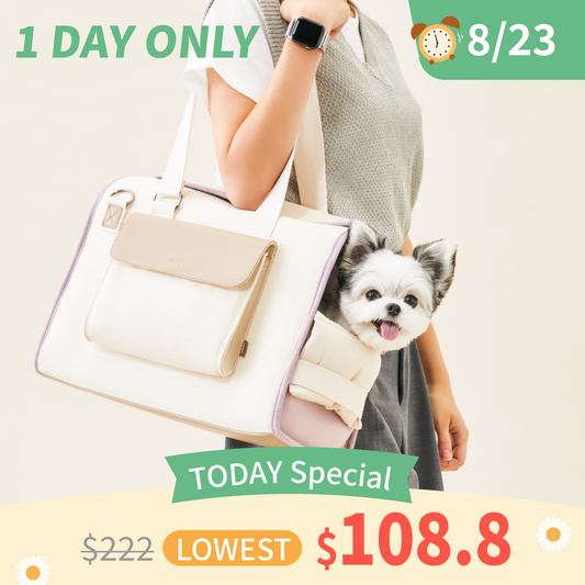 Sunday Pet Bag | Multi-functionality carrier