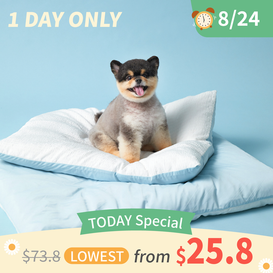 Cooling Blanket | Blanket Cover
