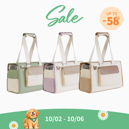 Sunday Pet Bag | Multi-functionality carrier