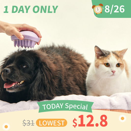 Grooming Brush