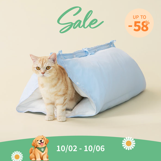 Kimbap Tunnel Bed | Limited stock