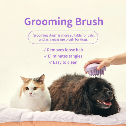 Grooming Brush
