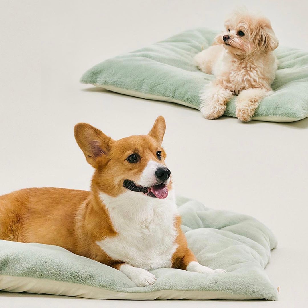 Arrr double-sided pet sleeping cushion in Pistachio colour. One side features cool material, while the other side is made of soft warm material.
