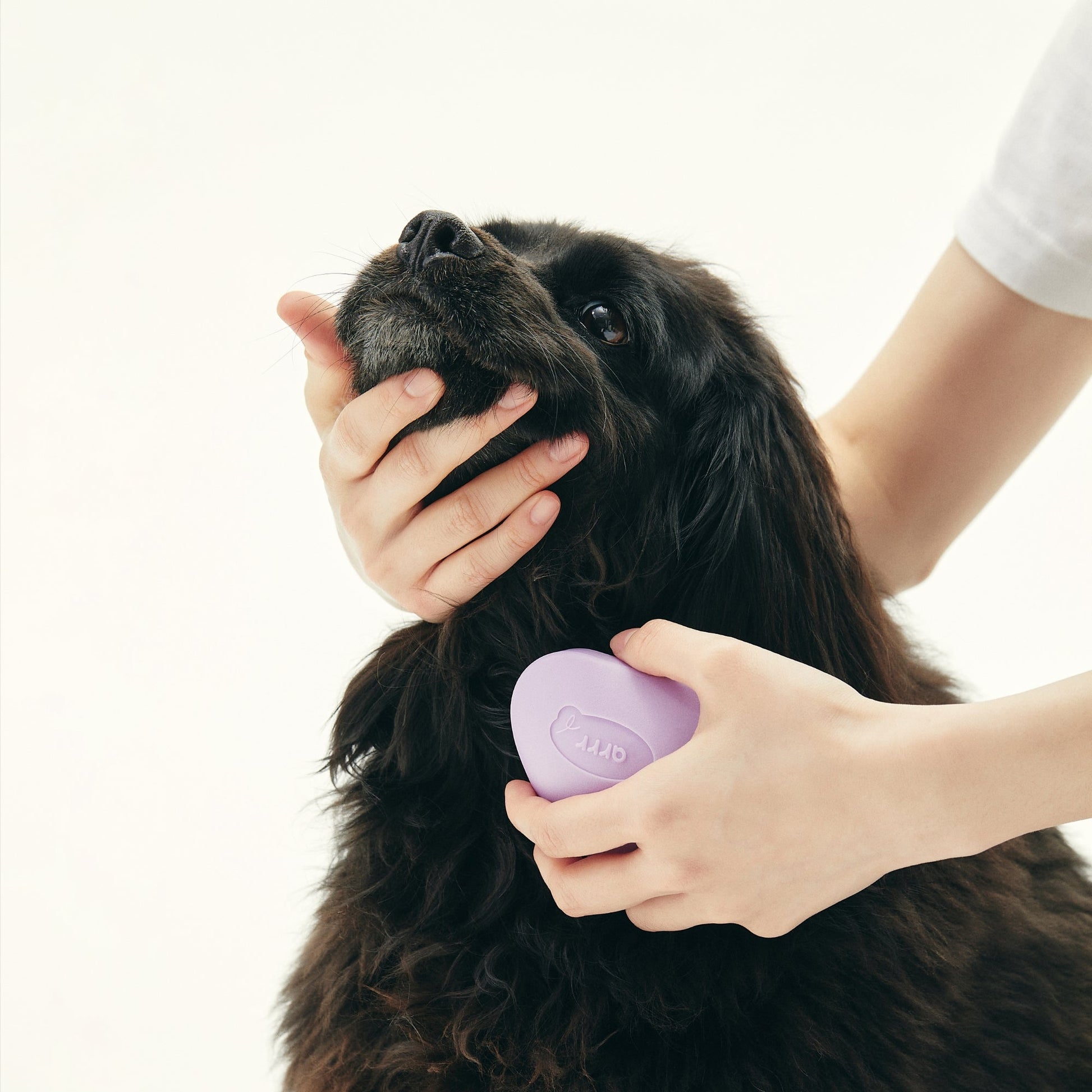 Korea-made massage brush for dogs. 100% natural rubber brush removes loose hair and tangles gently, while the curved design provides a stable grip. The stylish purple color adds a touch of flair to grooming time.